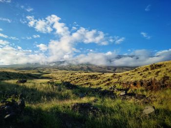 Scenic view of landscape against sky