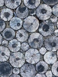Timber floor pattern in public garden