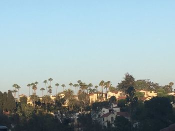 Panoramic view of palm trees against clear sky