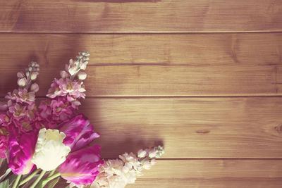 Close-up of flowers on wooden wall