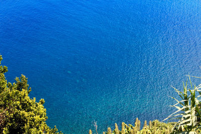 High angle view of trees and sea against blue sky