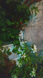 Bird perching on plant