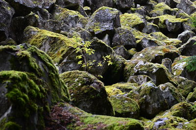 Full frame shot of rocks