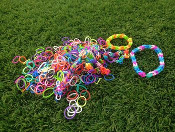 High angle view of multi colored flowers on field