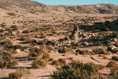 Scenic view of landscape