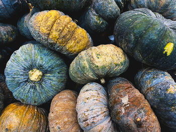 Full frame shot of pumpkins