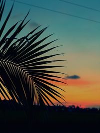 Silhouette palm tree against sky during sunset