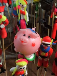 animal representation