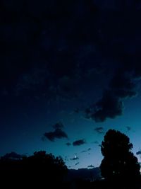 Low angle view of silhouette trees against sky at night