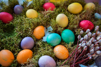 High angle view of colorful eggs