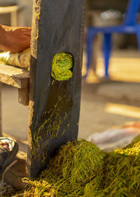 Antique cut tobacco into strips for further exposure in the sun in thailand.