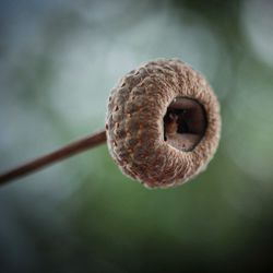 Close-up of spiral pipe