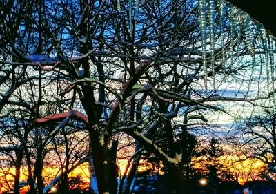 Low angle view of bare trees against sky