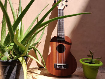 Close-up of guitar on potted plant against wall