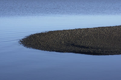High angle view of sea shore against blue sky