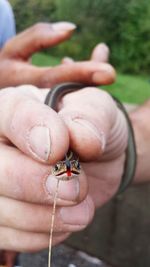 Close-up of man holding hands