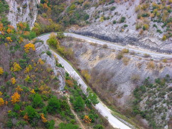 High angle view of road amidst trees