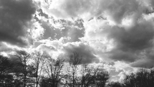 Low angle view of trees against cloudy sky