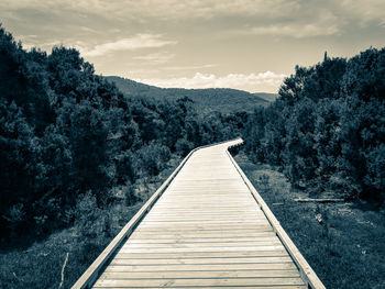Dirt road along trees and plants against sky