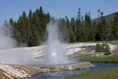 Scenic view of geyser by trees against sky