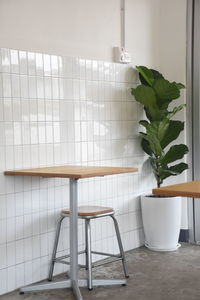 Potted plant on table against wall at home