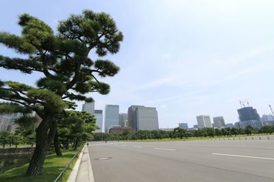 Road by trees against sky in city