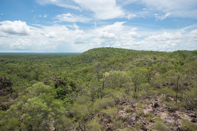 Scenic view of landscape against sky