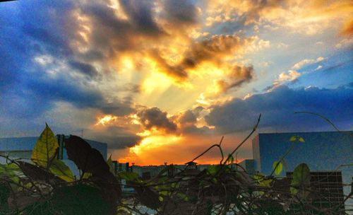 Scenic view of cloudy sky at sunset