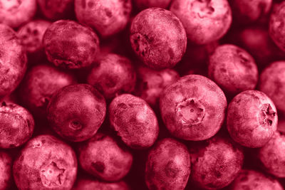 Pile of fresh ripe blueberries in trendy color of the year 2023 viva magenta