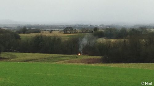Scenic view of grassy field against sky