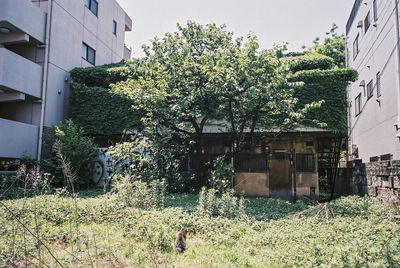 View of house in yard