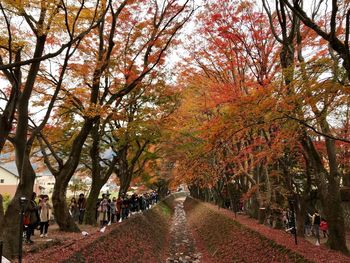 Footpath amidst trees in park during autumn