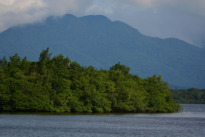 Scenic view of river by trees against sky