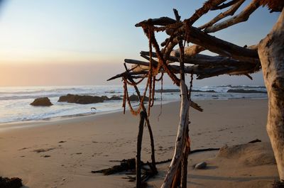 Close-up of driftwood on beach against sky