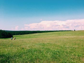 Grassy field against cloudy sky