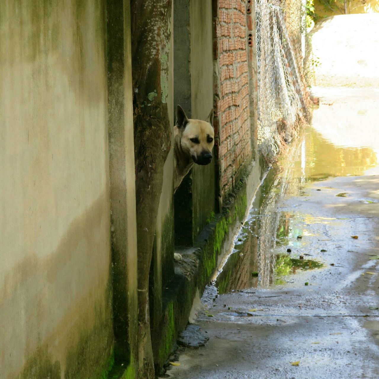 Escaping the sun