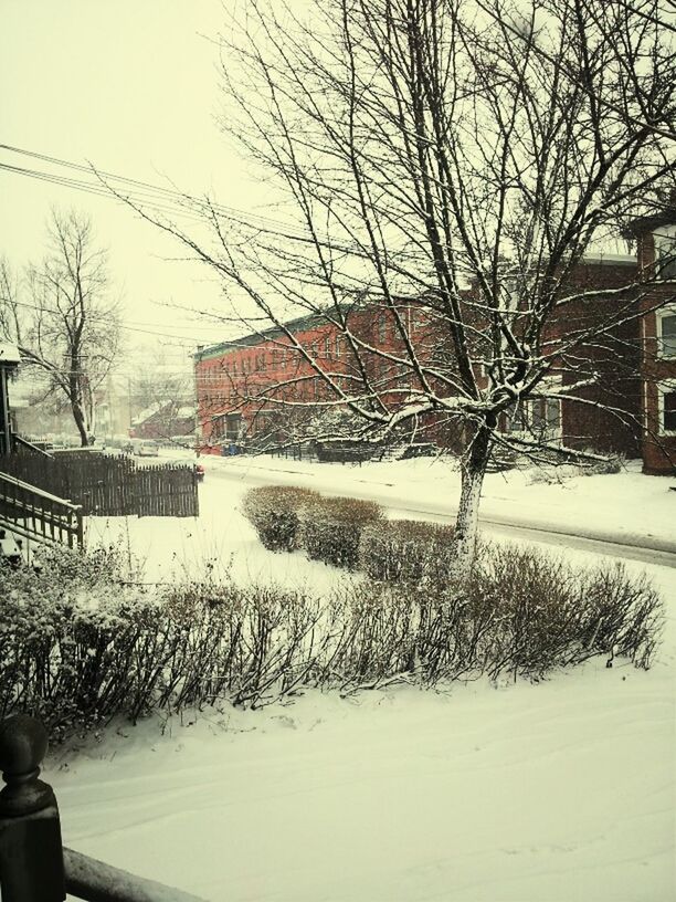 snow, winter, cold temperature, bare tree, season, weather, tree, building exterior, architecture, built structure, frozen, covering, branch, nature, house, sky, field, covered, white color, outdoors