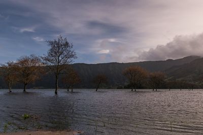 Scenic view of lake against sky