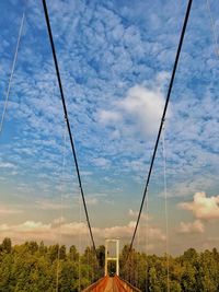 Low angle view of plants against sky