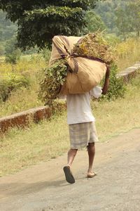 Rear view of farmer carrying sack