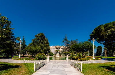 Footpath amidst trees against clear blue sky