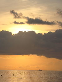 Scenic view of sea at sunset