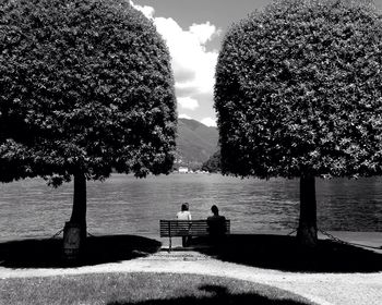 Reflection of trees in water