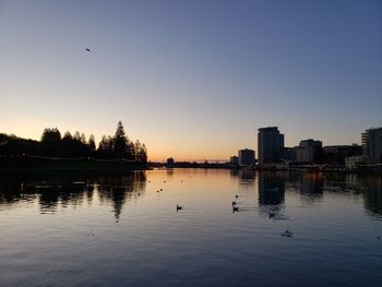 Birds flying over lake