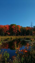 Scenic view of lake against clear sky