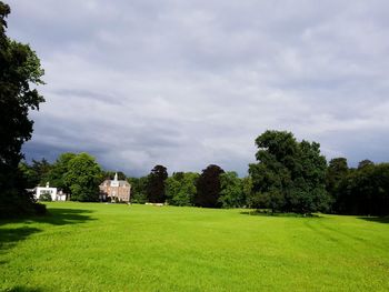 Trees on field against sky