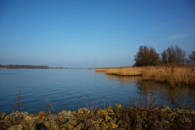 Scenic view of lake against blue sky