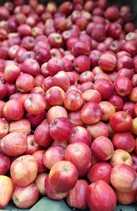 Full frame shot of apples