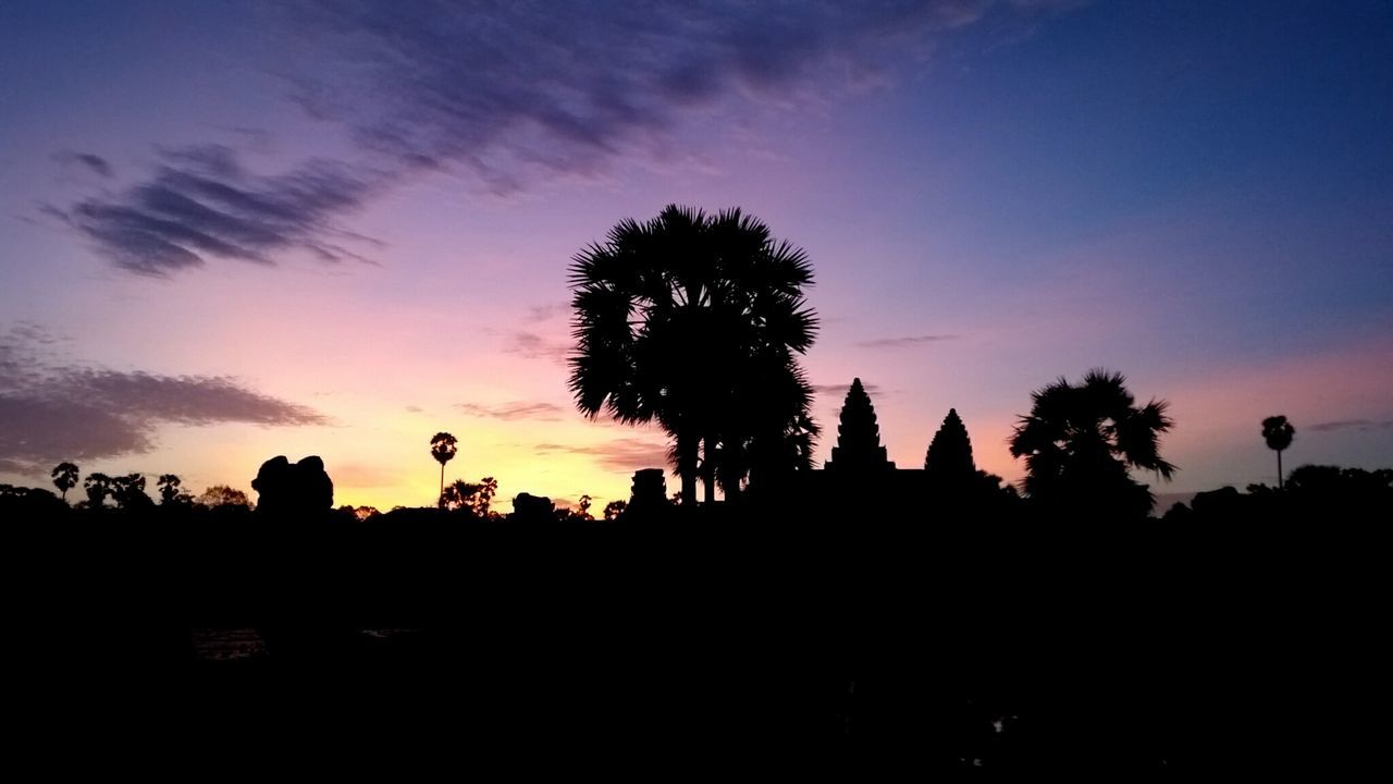 silhouette, sunset, tree, sky, scenics, beauty in nature, tranquil scene, tranquility, outline, dusk, cloud - sky, nature, dark, cloud, orange color, idyllic, palm tree, low angle view, outdoors, landscape