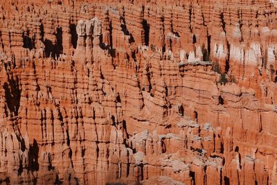 Full frame shot of rock at bryce canyon